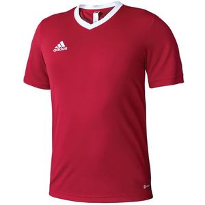 Adidas - Entrada 22 - Voetbal Jersey - V-hals - Heren