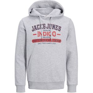 Jack & Jones Hoodie