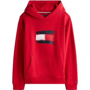 Tommy Hilfiger Sweat kb0kb10112