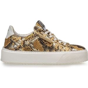 Floris van Bommel - SFW-10115-91-01-Blokki - Veterschoenen - Goud - Leer