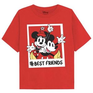 Disney Meisjes bestfriends mickey & minnie mouse t-shirt