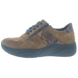 Solidus schoenen torfs hotsell