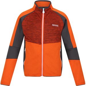 Regatta Kinder/kinder oberon vii marl full zip fleecejack