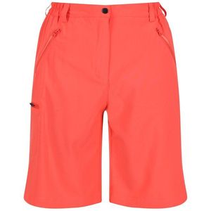 Regatta - Xert Stretch Shorts - Korte Broeken