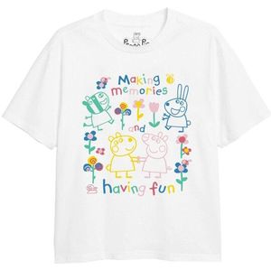 Peppa Pig Kinderen/kinderen fun friends outline t-shirt