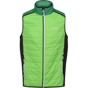 Regatta - Gilet - Zwart - Elastaan, Polyamide, Polyester - Gewatteerd