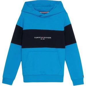 Tommy Hilfiger Essential hoodie