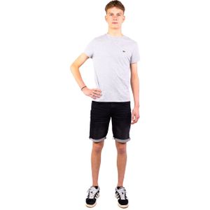 Lacoste Casual t-shirt heren