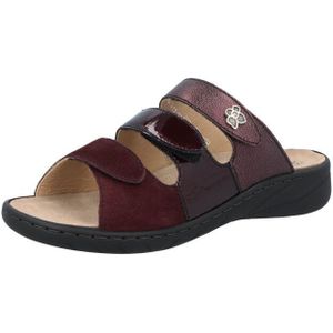 Solidus Wellness spezial