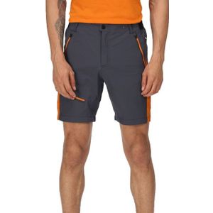 Regatta Heren highton pro shorts