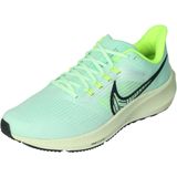 Nike Air zoom pegasus 39