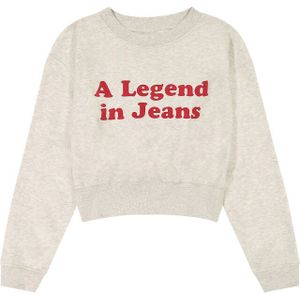 Wrangler - Relaxed Sweatshirt - Katoenblend - Casual Look - Ronde Hals