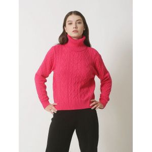 Smashed Lemon - 23846 - Turtle Neck Top - Roze