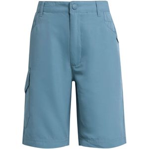 Regatta - Sorcer II - Korte Broeken - Blauw - 100% Polyester, Waterafstotend, Multi-Pockets