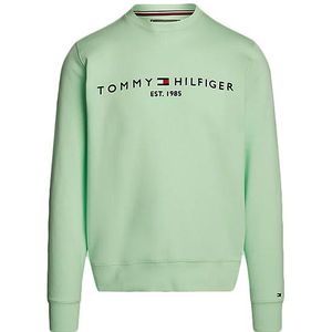 Tommy Hilfiger Sweater 11596 mint gel