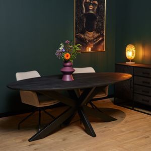 Starfurn Eetkamertafel new york ovaal 160 cm