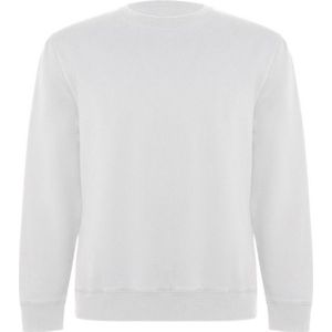 Roly Unisex adult batian sweatshirt met ronde hals