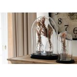 Clayre & Eef Stolp 26x15x34 cm glas ovaal glazen stolp