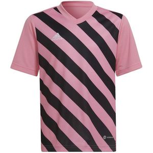 Adidas - Sweatshirt - Zwart - 100% Gerecycled Polyester - V Hals