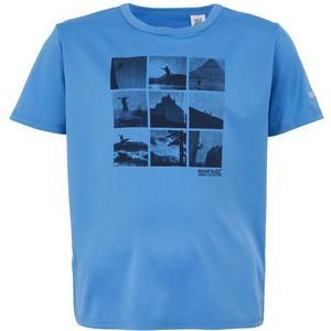 Regatta - Alvarado IX - T-shirt - Raster - Korte Mouwen - 100% Polyester
