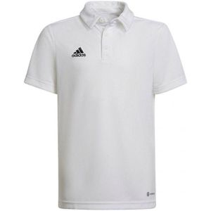 Adidas - Sportshirt - Blauw - 100% Gerecycled Polyester - Korte Mouwen