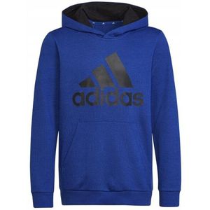 Adidas - Kinder Essentials Grote Logo Hoodie - Katoen - Met Kangoeroezak