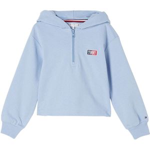 Tommy Hilfiger Timeless tommy hoodie