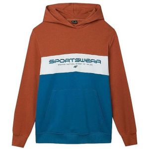 4F - wss24tswsm1032 - Hoodie - Kleur Block - Heren