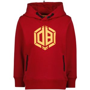 Vingino Daley blind jongens hoodie nereno dahlia