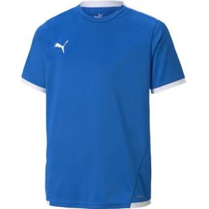 Puma - Sweater - Blauw - 100% Gerecycled Polyester - Crew Neck