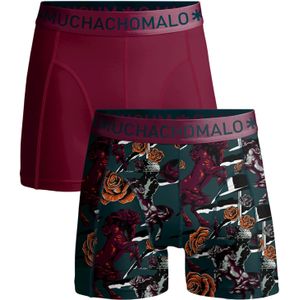 Muchachomalo Jongens 2-pack boxershorts zorro brucelee
