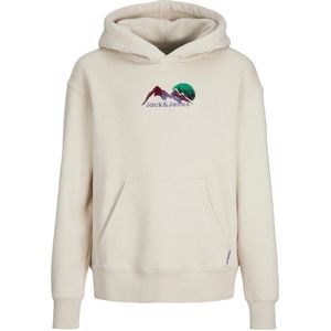 Jack & Jones Jorsilverlake sweat hood jnr