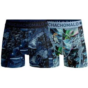 Muchachomalo Boys 2-pack boxer shorts prehistory