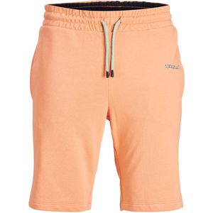 Jack & Jones Jpstfresh sweat shorts amt