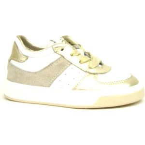 Pinocchio - P1057 - Veterschoenen - Goud - Leer