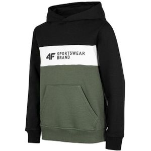 4F - hjz22 - Hoodie - 100% Katoen - Geborstelde Binnenkant