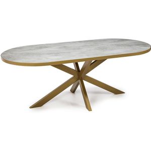 Stalux Plat ovale eettafel 'noud' 240 x 100, kleur goud / beton