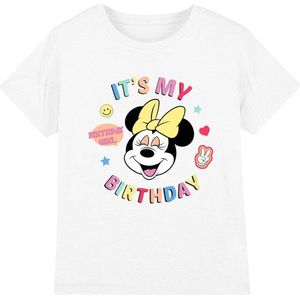 Disney Kinderen/kinderen het is mijn verjaardag minnie mouse t-shirt