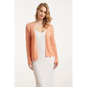 Smashed Lemon - Perzische Crochet Gebreide Cardigan - Perzisch - 100% Viscose