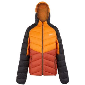 Regatta - Dalent - Geïsoleerde Jas - Met Capuchon - Polyamide, Waterafstotend