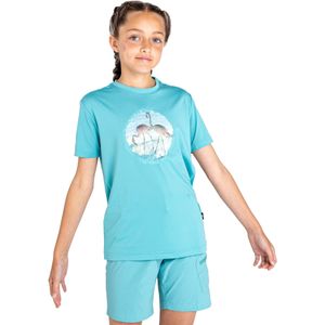 Dare2b Kinderen/kinderen rechtmatig flamingo gerecycled t-shirt