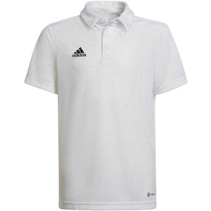 Adidas - Entrada 22 - Poloshirt - 100% Gerecycled Polyester