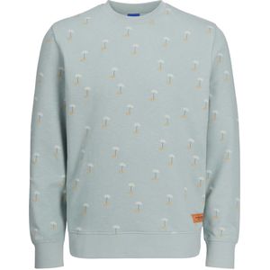 Jack & Jones Jorretreat sweat crew neck weh24 mint