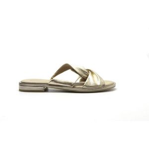 Caprice - 27100 Muiltjes - Platin Metal