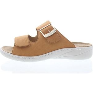 Solidus Wellness spezial