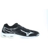 Mizuno wave voltage(u) -