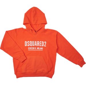 Icon DQ1411D0-05UDQ Slouch Fit Hoodie voor Jongens