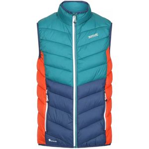 Regatta Heren harrock body warmer