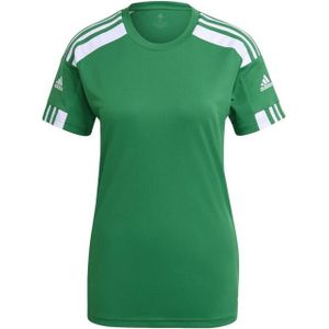 Adidas - Squadra 21 - Trui - Primegroen - 100% Gerecycled Polyester