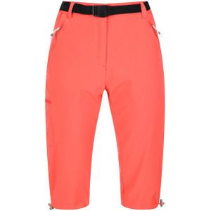 Regatta - Xert Stretch - Vrijetijdsshort - Lichtgewicht - Duurzaam Waterafstotend